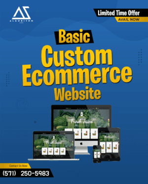 custom-ecommerce-website-basic.png