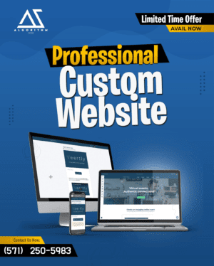 custom-website-professional.png